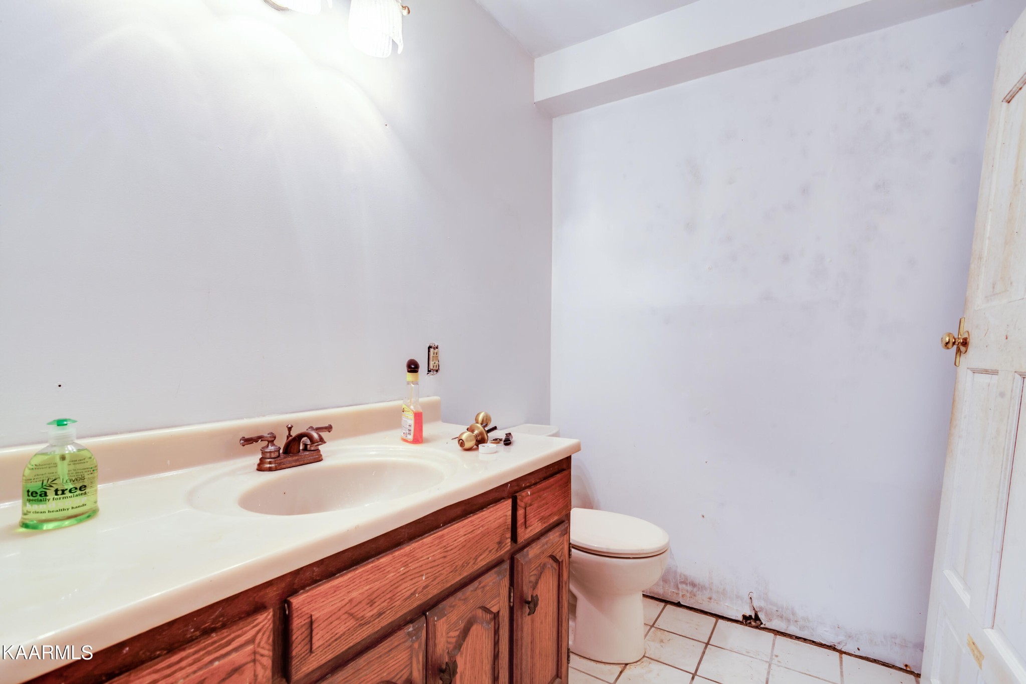 126 Taylor Road Oak Ridge, TN 37830 - Photo 28 of 34 a bathroom with a sink vanity and a toilet