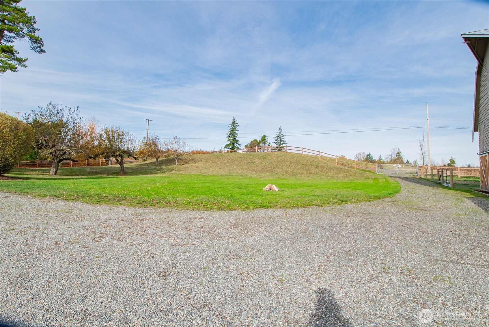 6084 Olson Road Ferndale, WA 98248 - Photo 34 of 40 a view of a field with plants and trees
