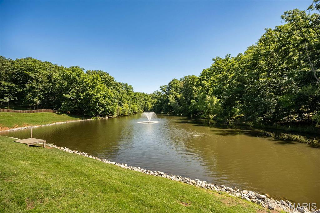 733 Castle Ridge Drive Ballwin, MO 63021 - Photo 70 of 74