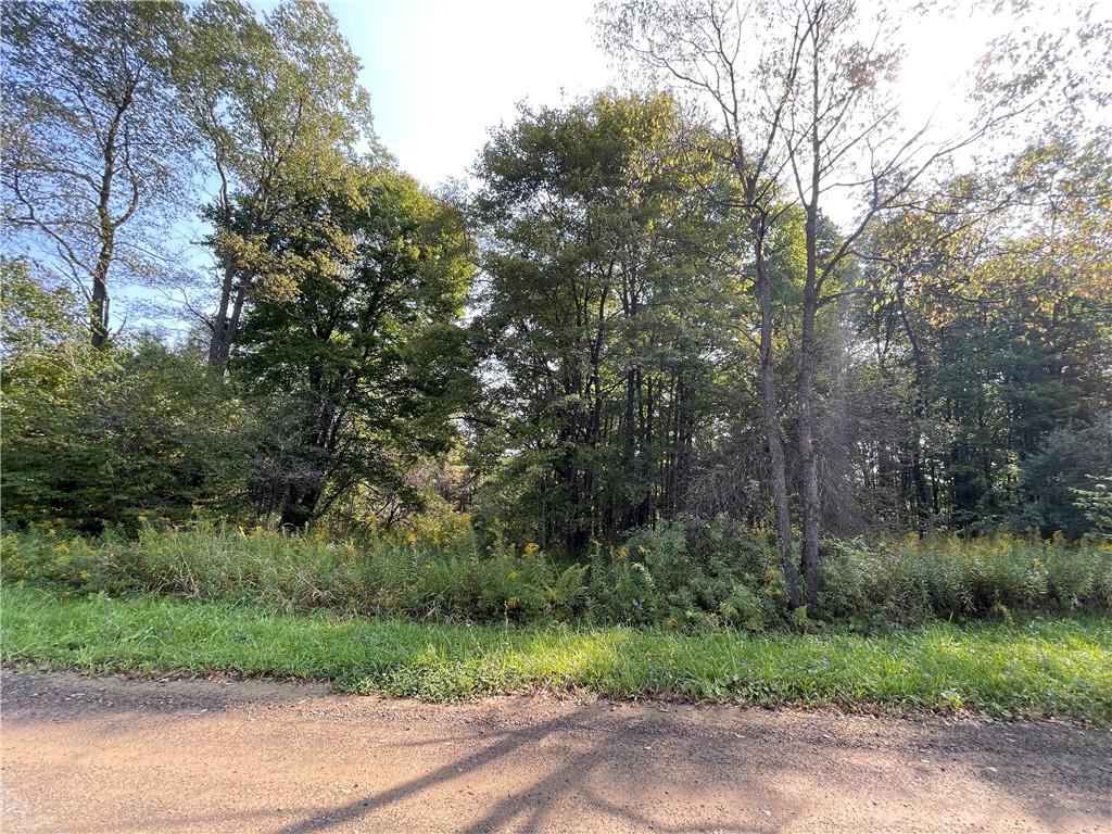 Lot 42 Maple Grove Road Union City, PA 16438 - Photo 3 of 3