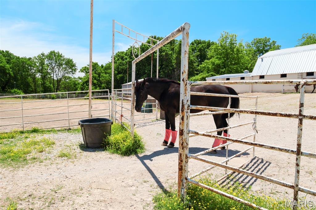 5501 Dober Lane St. Louis, MO 63129 - Photo 18 of 62