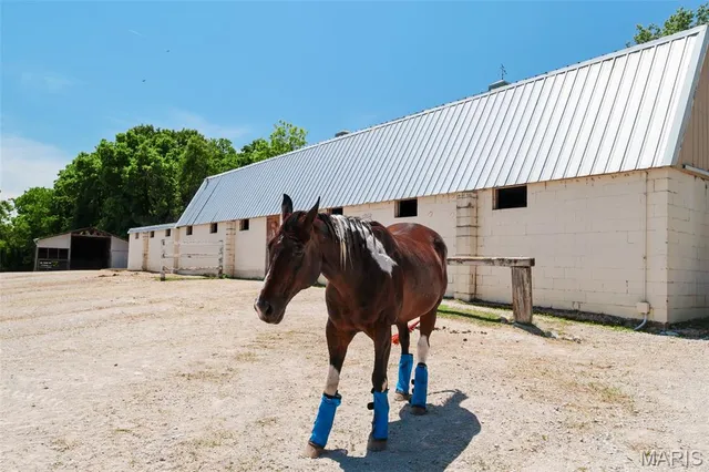 $699,000 | 5501 Dober Lane, St. Louis, MO 63129