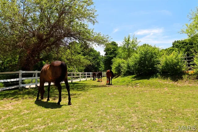 $699,000 | 5501 Dober Lane, St. Louis, MO 63129