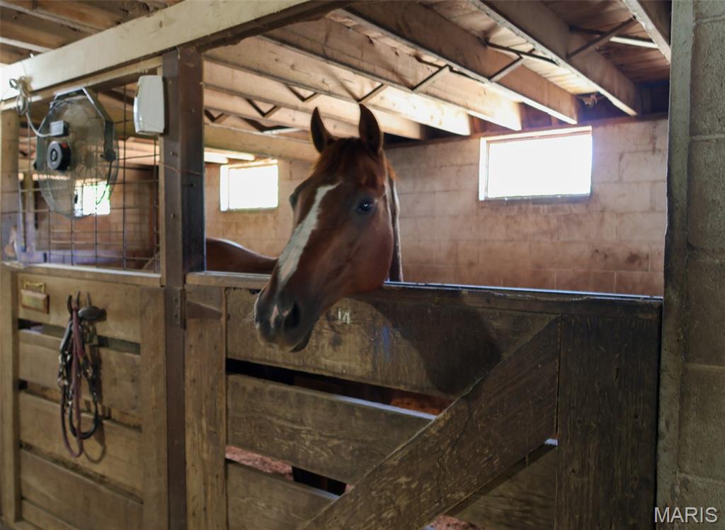 5501 Dober Lane St. Louis, MO 63129 - Photo 28 of 62