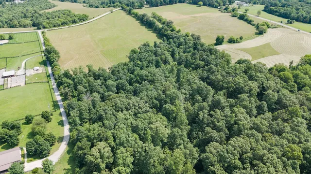 an aerial view of a house with a yard and lake view