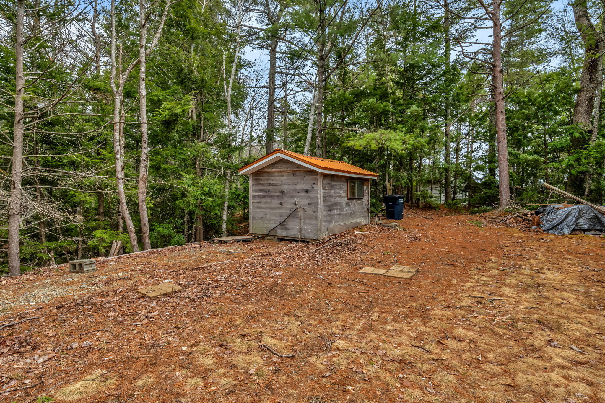 12 Paradise Cove Clifton, ME 04428 - Photo 6 of 62 4-web-or-mls-12-paradise-cv