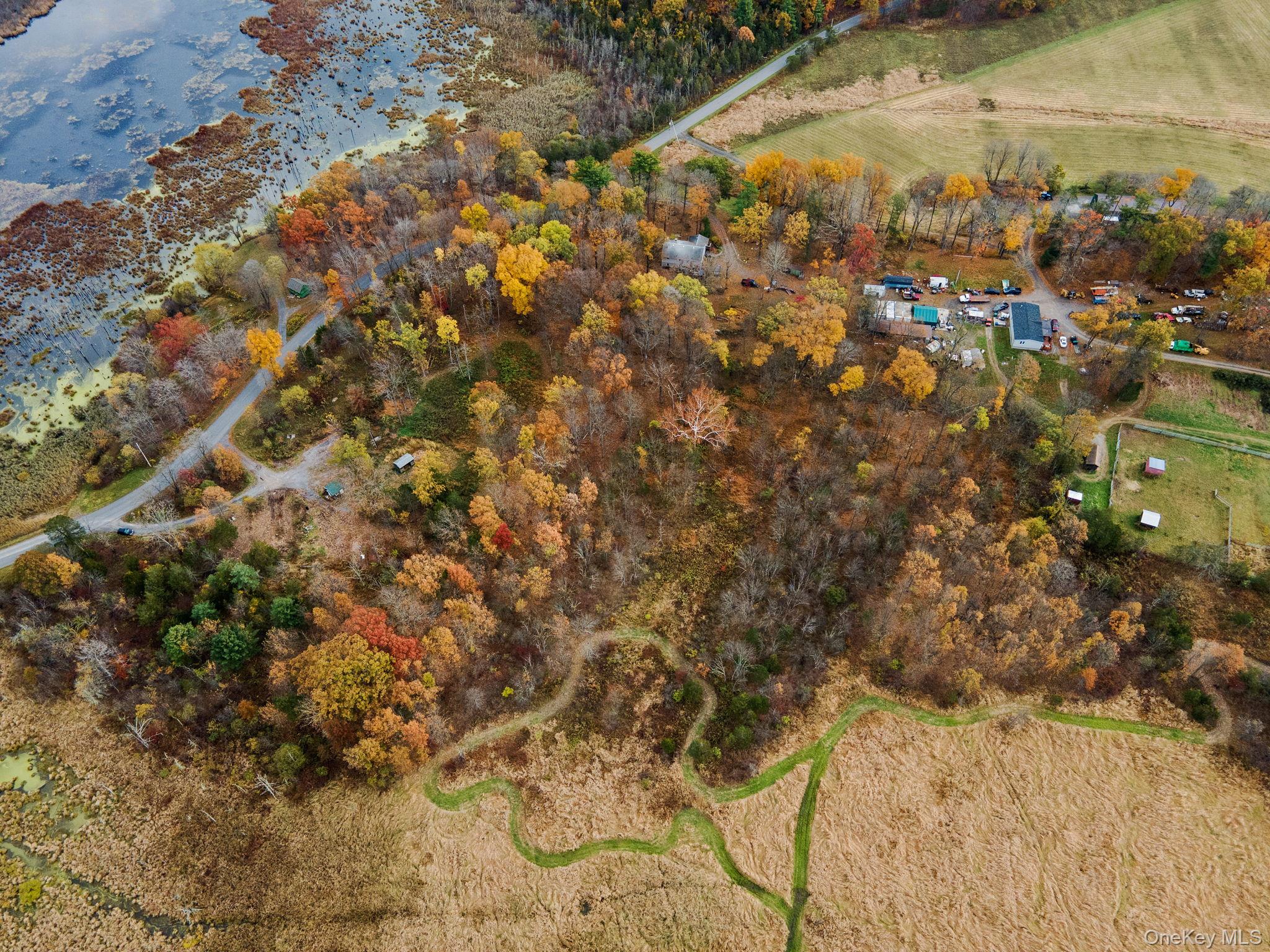 165 West Camp Road Saugerties, NY 12477 - Photo 13 of 15 a view of a yard of the tree