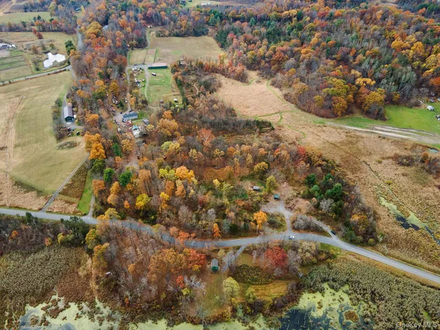 a view of a yard with pathway