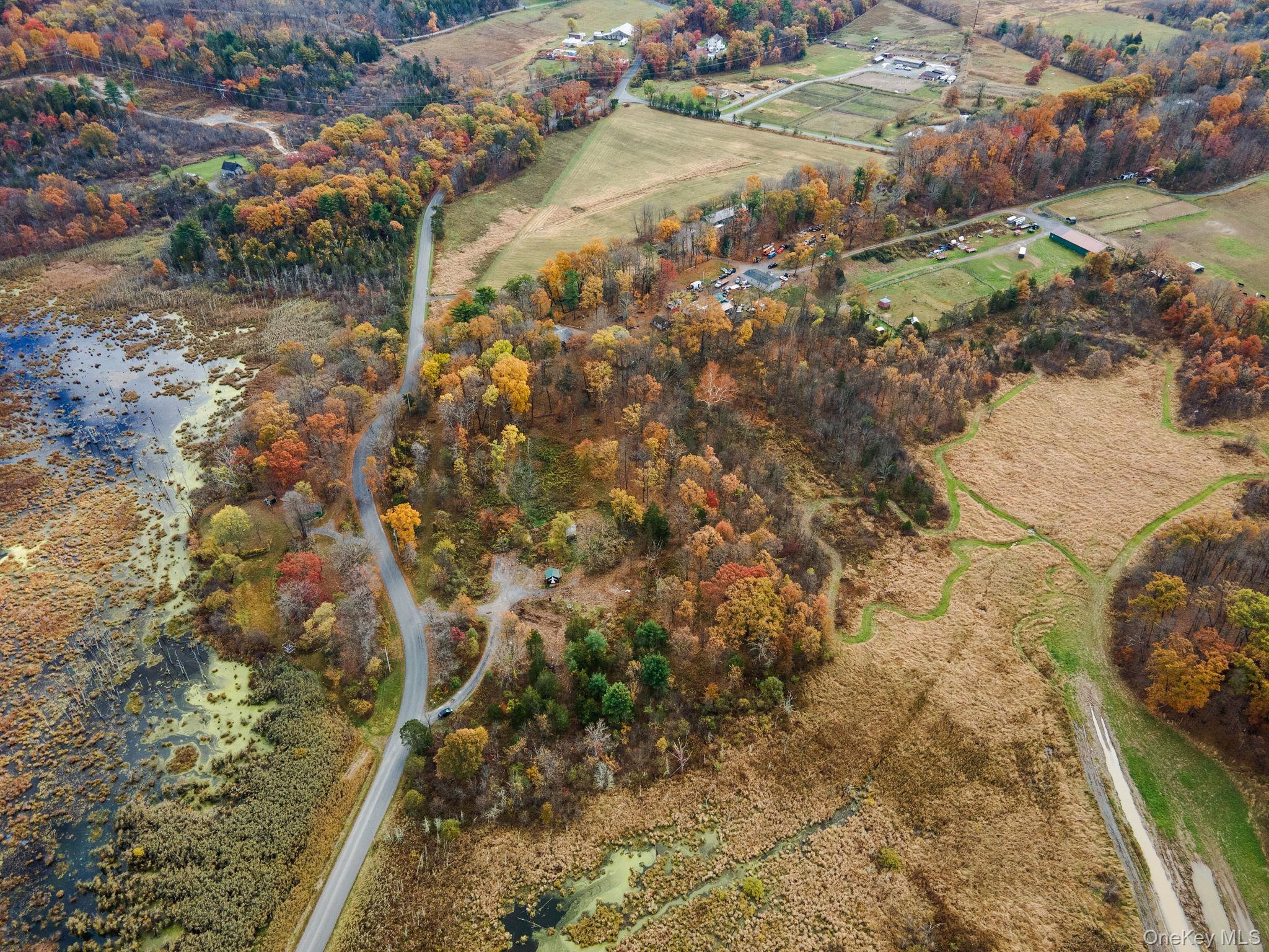 165 West Camp Road Saugerties, NY 12477 - Photo 10 of 15 a view of a yard with pathway