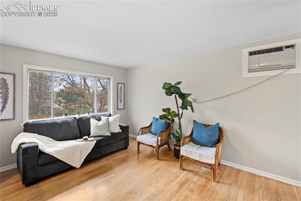 4127 Bent Drive Colorado Springs, CO 80909 - Photo 6 of 41 a living room with furniture and a potted plant