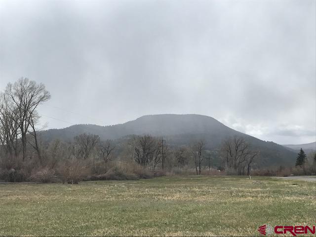 a view of a dry yard with mountain in the background
