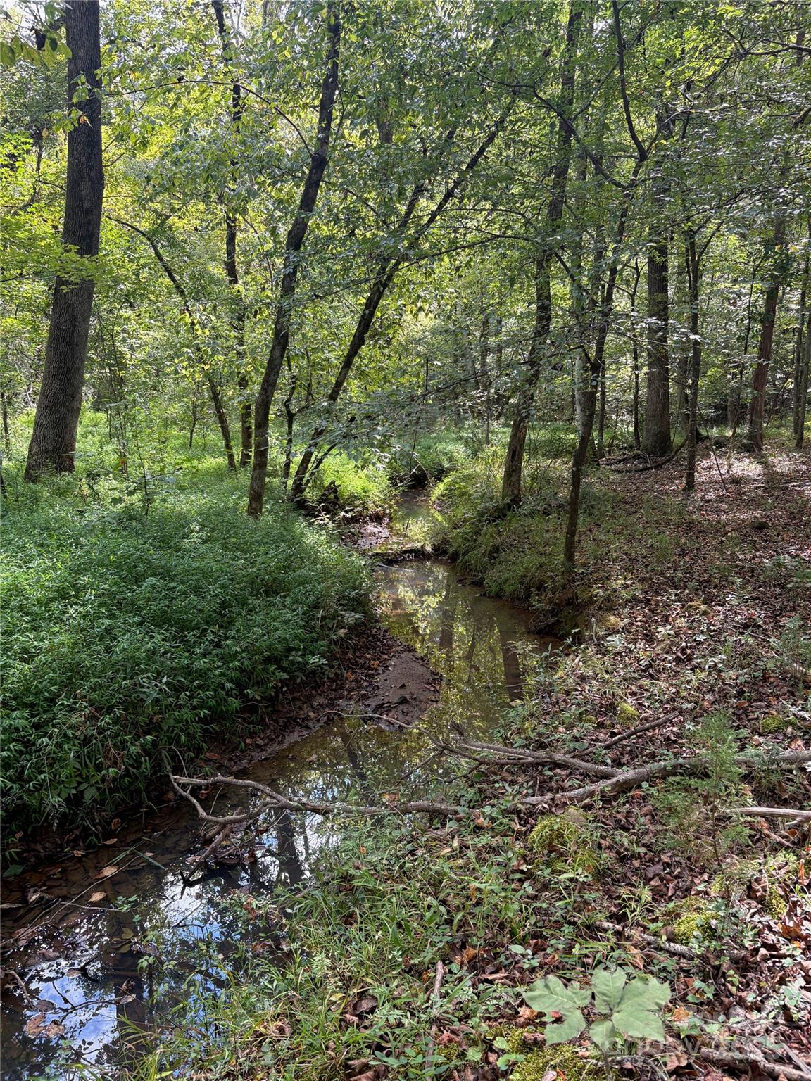 3485 Cedar Circle Road Lancaster, SC 29720 - Photo 11 of 36 a backyard of a house with lots of green space