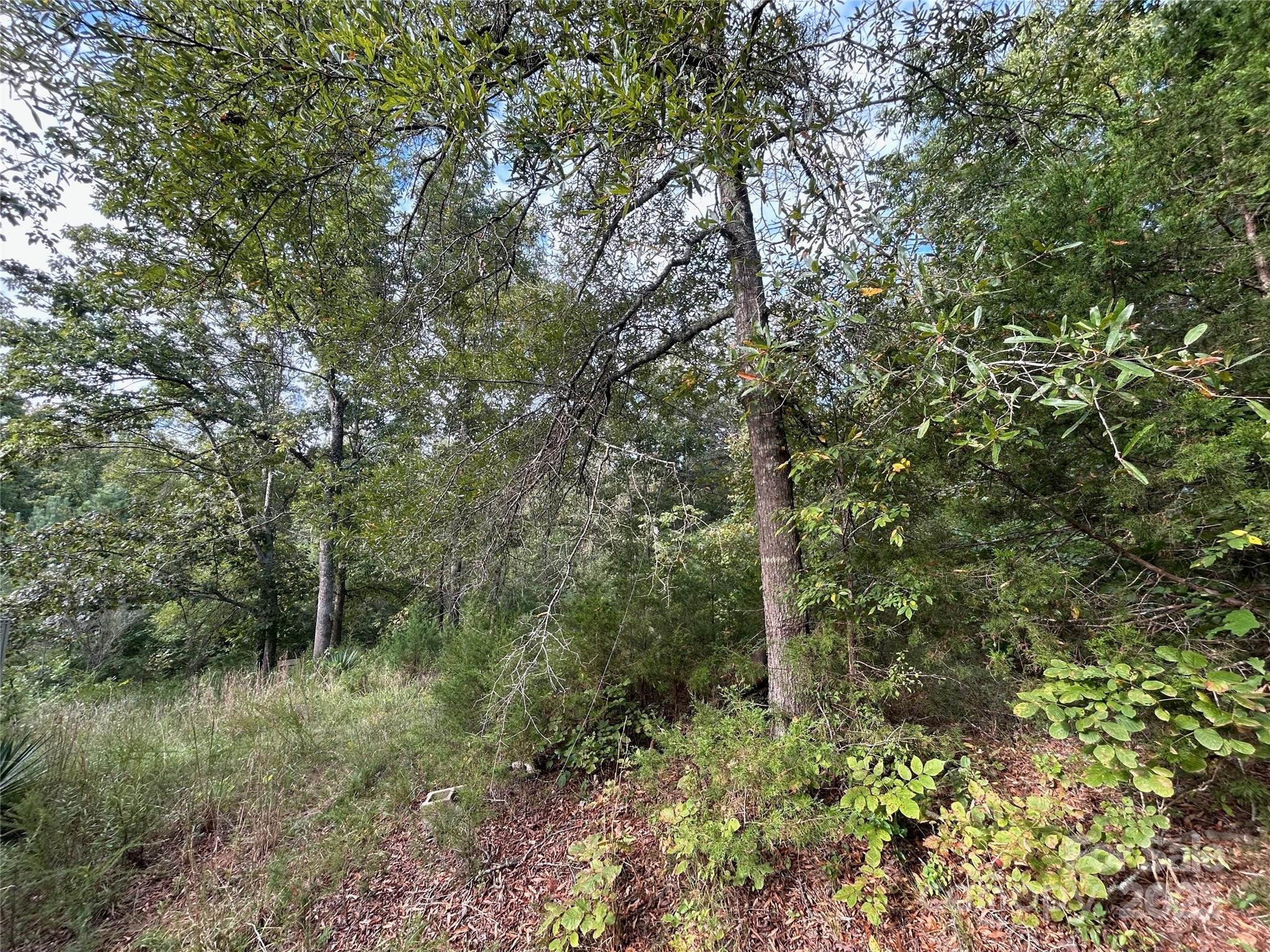 3485 Cedar Circle Road Lancaster, SC 29720 - Photo 18 of 36 a view of a lush green forest