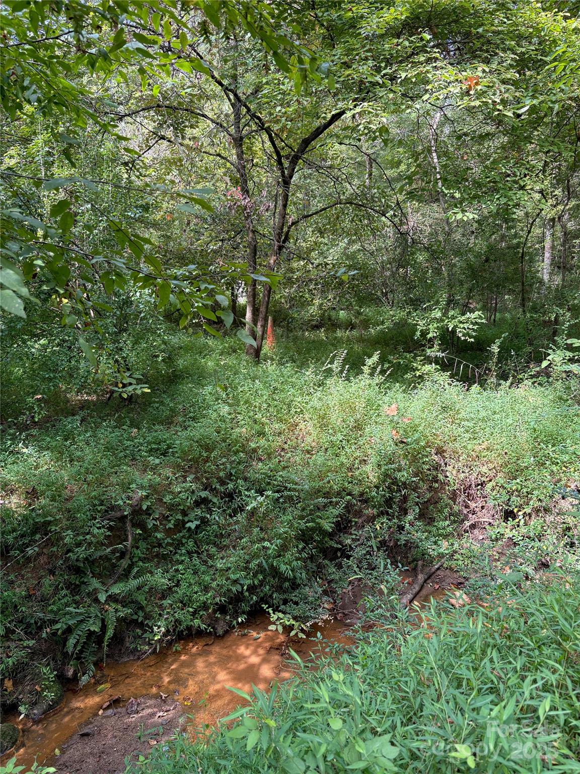 3485 Cedar Circle Road Lancaster, SC 29720 - Photo 22 of 36 a view of a yard with plants and a bench