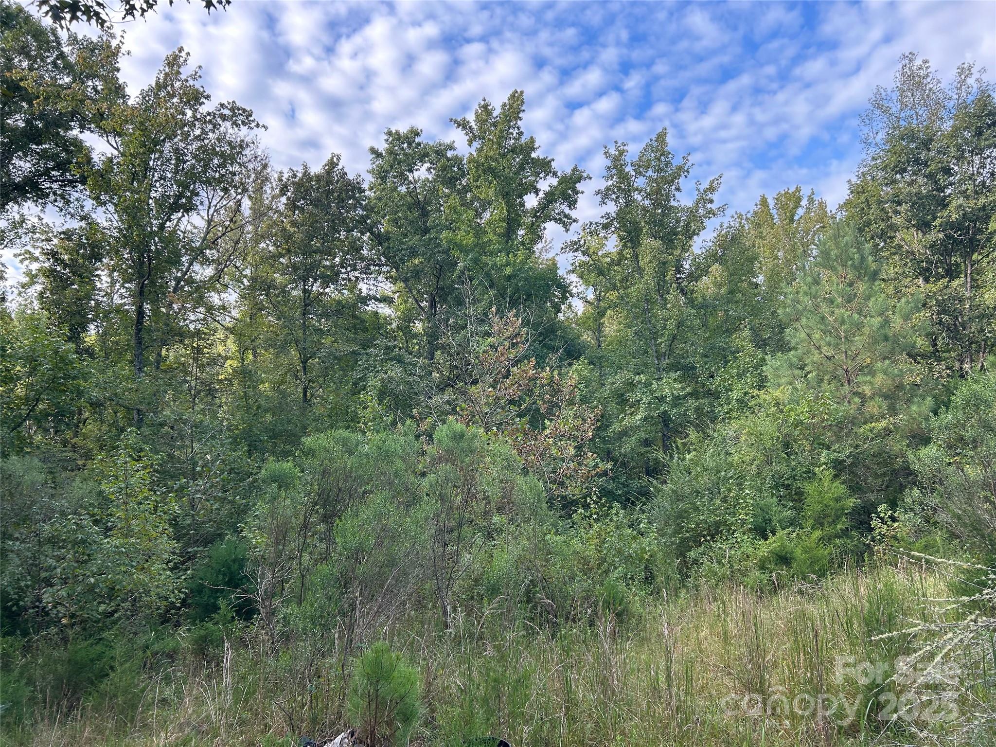 3485 Cedar Circle Road Lancaster, SC 29720 - Photo 23 of 36 a view of a lush green forest with a street