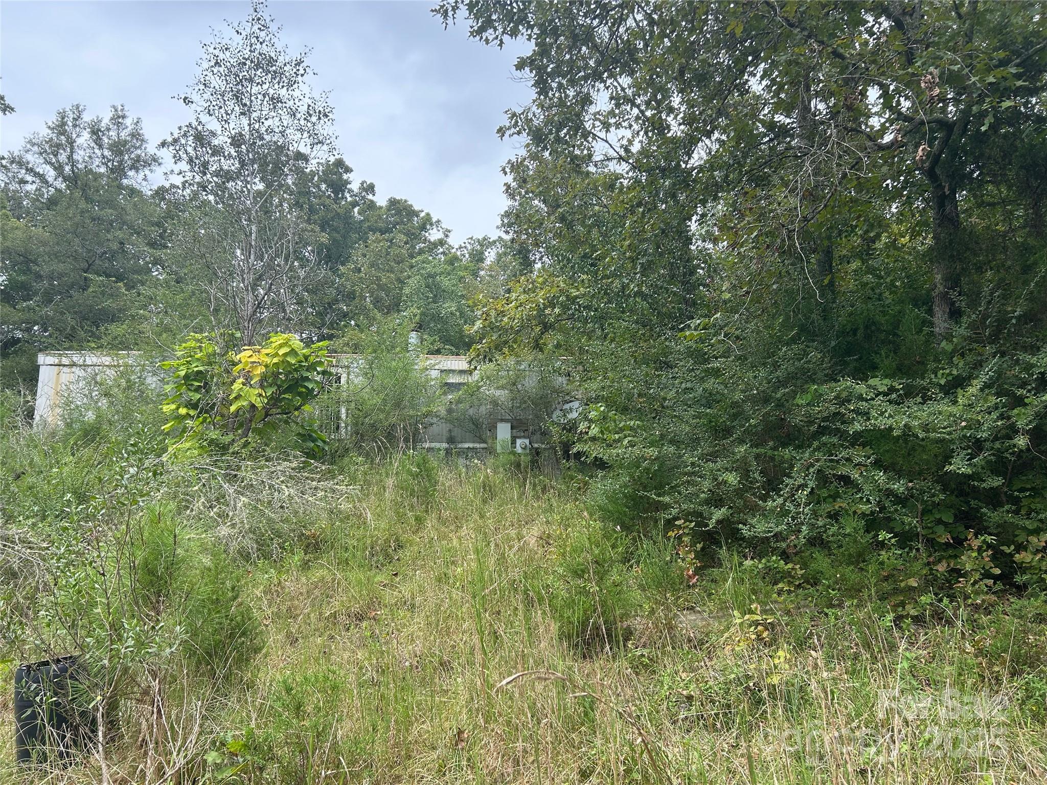 3485 Cedar Circle Road Lancaster, SC 29720 - Photo 30 of 36 a view of a forest with a lake