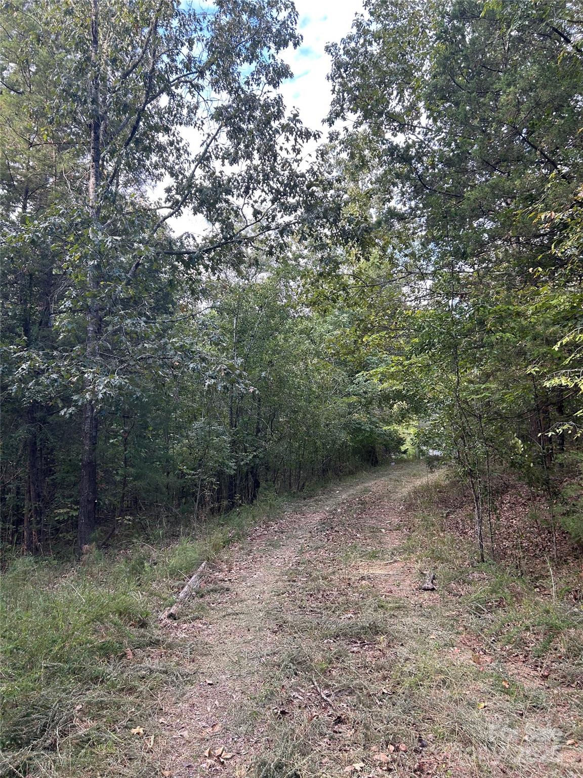3485 Cedar Circle Road Lancaster, SC 29720 - Photo 4 of 36 a view of a forest with trees in the background