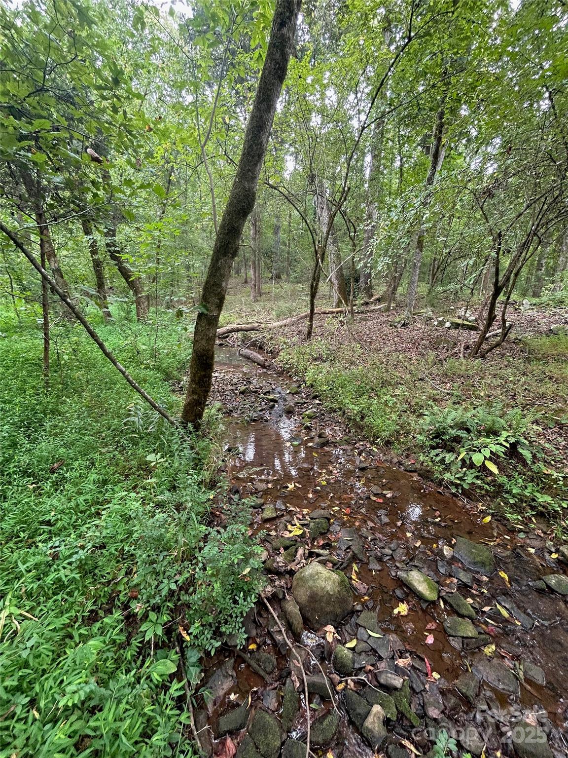 3485 Cedar Circle Road Lancaster, SC 29720 - Photo 10 of 36 a view of outdoor space and trees