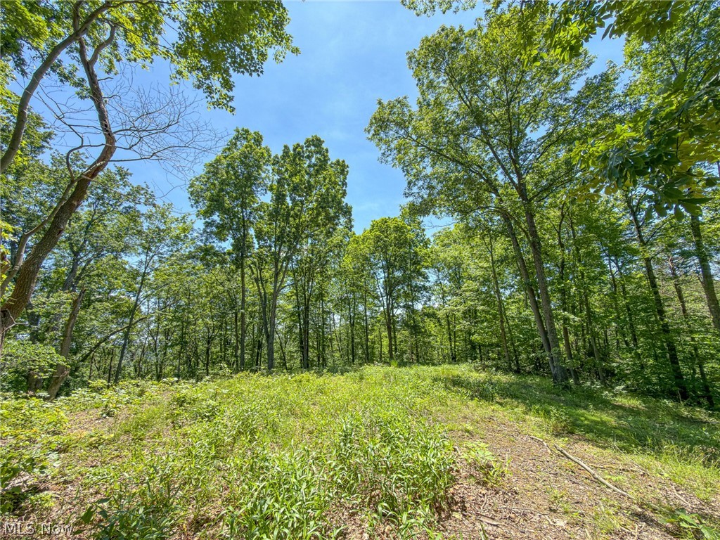 0 Twp Road Marietta, OH 45750 - Photo 41 of 50