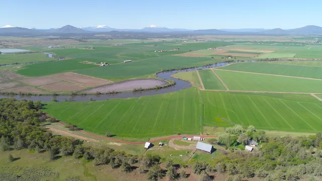 a view of a yard with an outdoor space