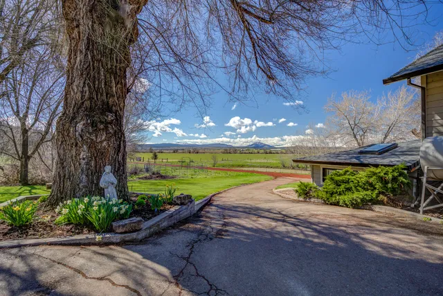a bathroom with a shower and a toilet