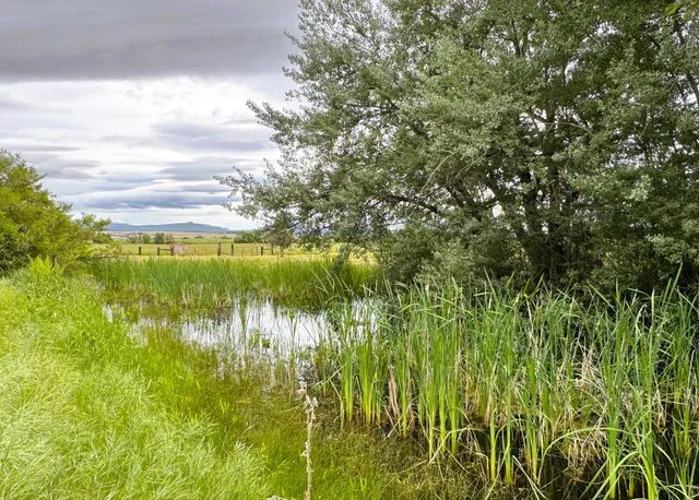 $2,350,000 | 644-705 Pit River Canyon Road, McArthur, CA 96056