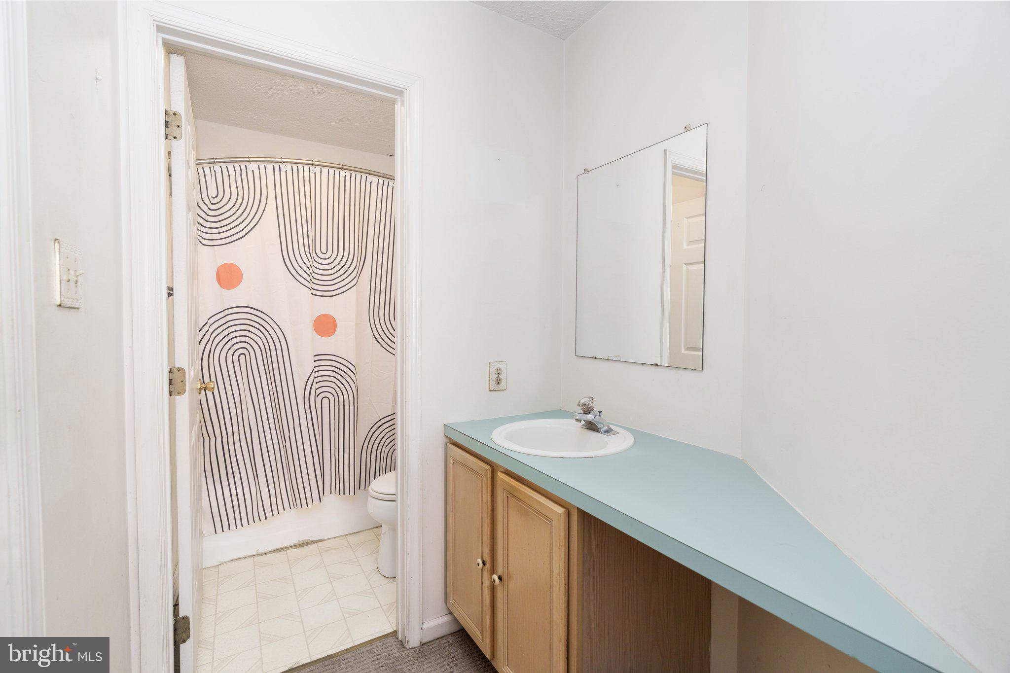 22 Buttonbush Court Elkton, MD 21921 - Photo 7 of 13 a bathroom with a sink and a mirror