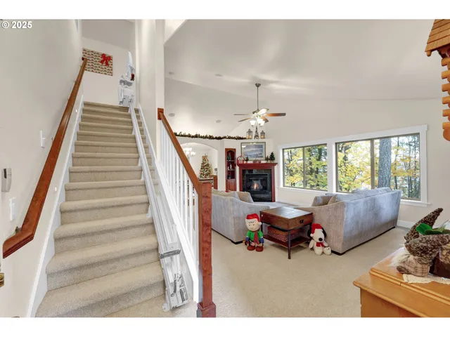 a living room with a couch and a potted plant on dresser