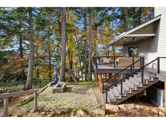 a view of a large yard with plants and large trees