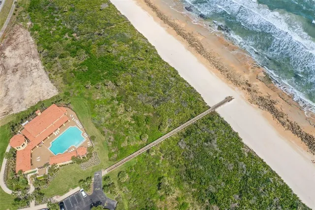 a view of a yard with plants
