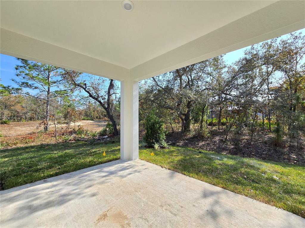 6 Calendula Court Homosassa, FL 34446 - Photo 27 of 67