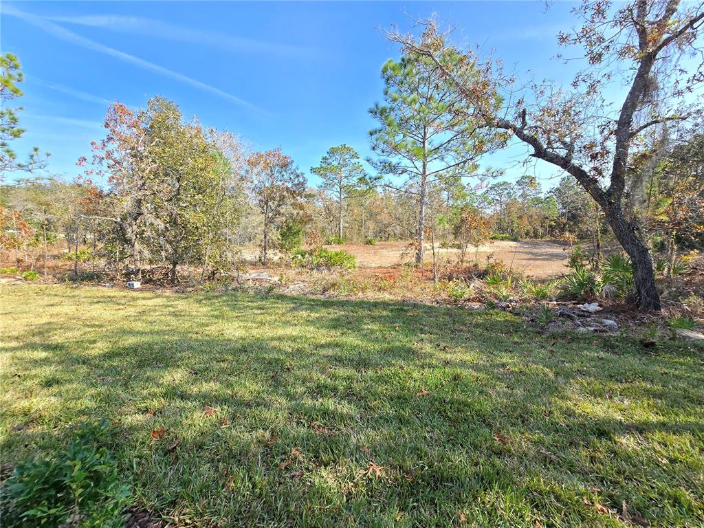 6 Calendula Court Homosassa, FL 34446 - Photo 28 of 67