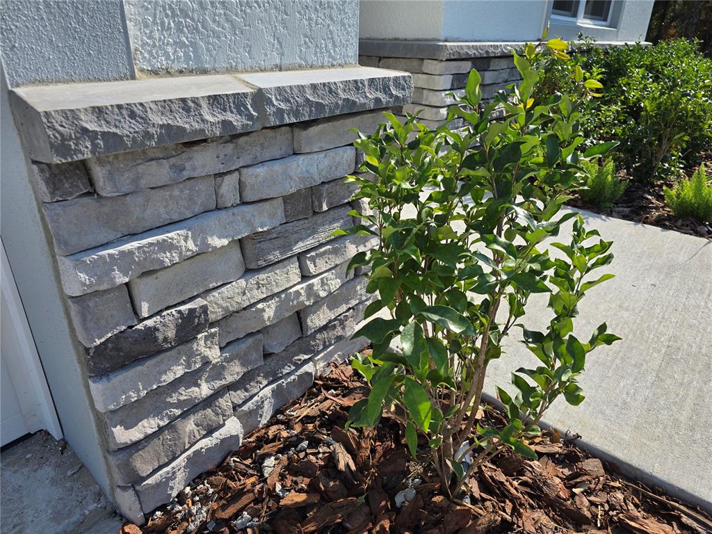 6 Calendula Court Homosassa, FL 34446 - Photo 41 of 67