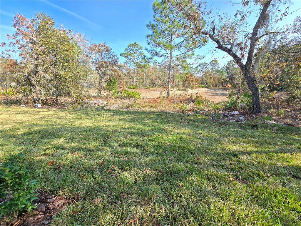 6 Calendula Court Homosassa, FL 34446 - Photo 67 of 67