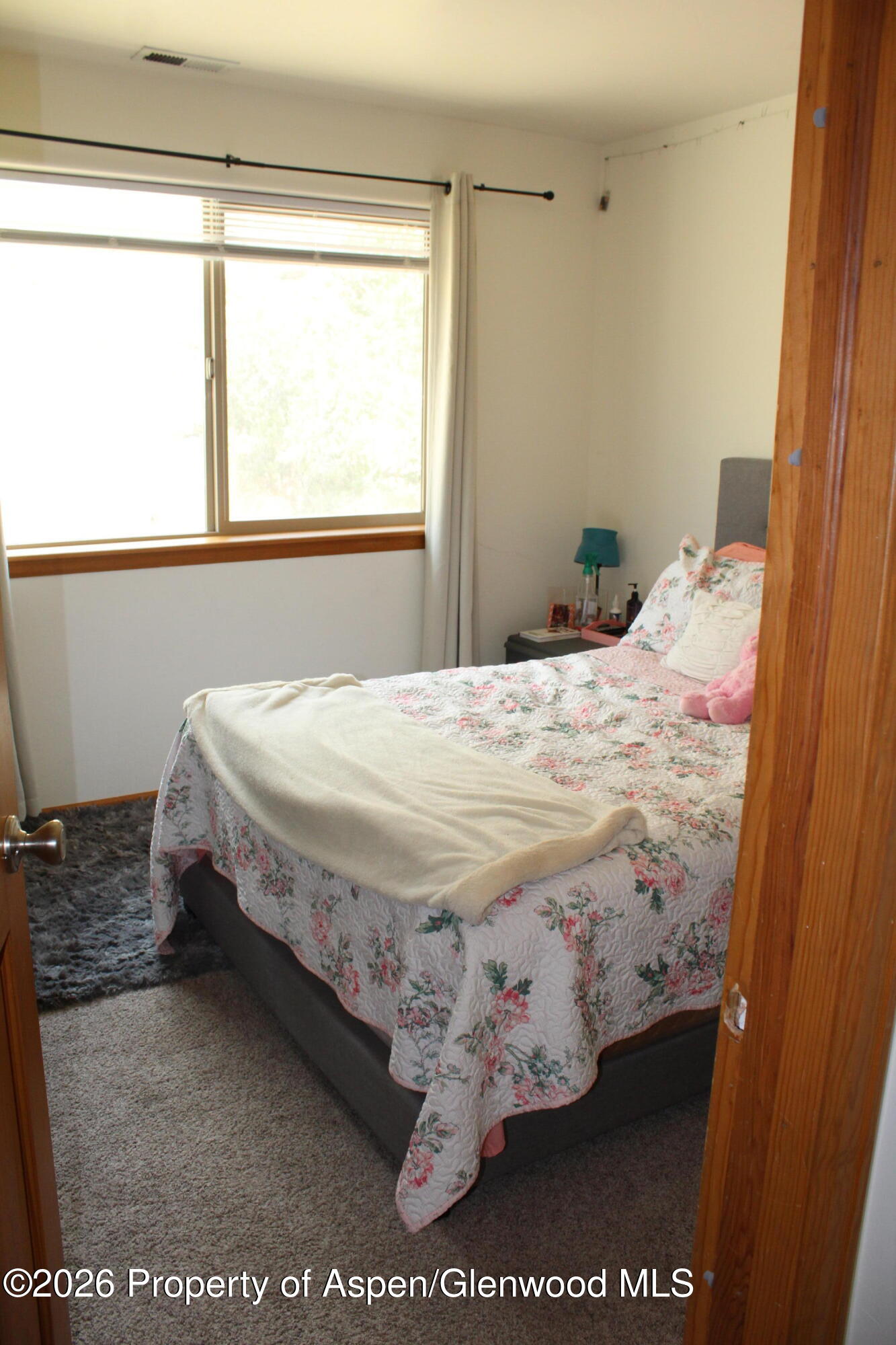 3119 Howard Avenue Rifle, CO 81650 - Photo 7 of 9 IMG_8255