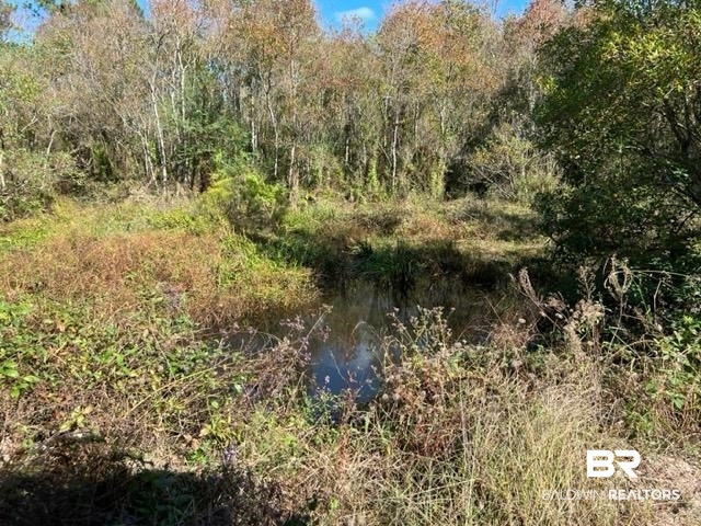 87 County Road Elberta, AL 36530 - Photo 7 of 7 Gallery Image 7