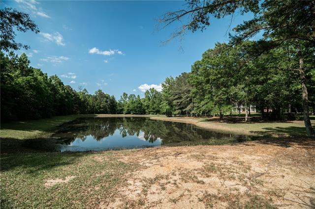 54198 Straughan Nursery Road Loranger, LA 70446 - Photo 52 of 60