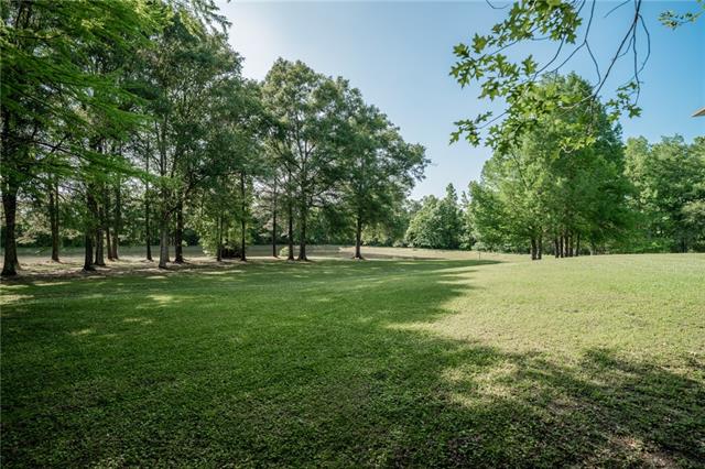 54198 Straughan Nursery Road Loranger, LA 70446 - Photo 53 of 60