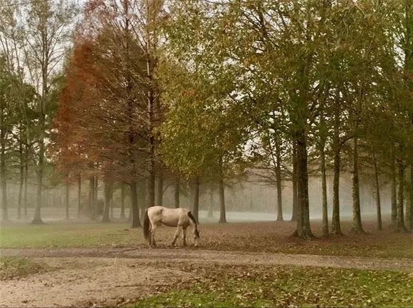 $1,039,900 | 54198 Straughan Nursery Road, Loranger, LA 70446