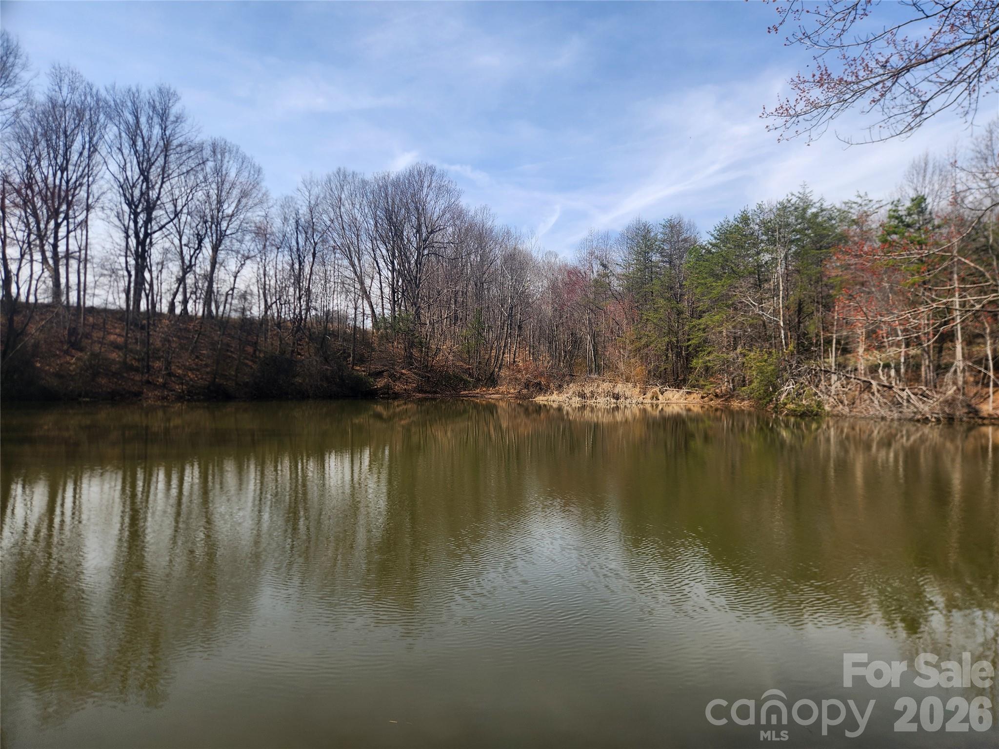 363 Center Church Road Hiddenite, NC 28636 - Photo 2 of 48 a view of lake