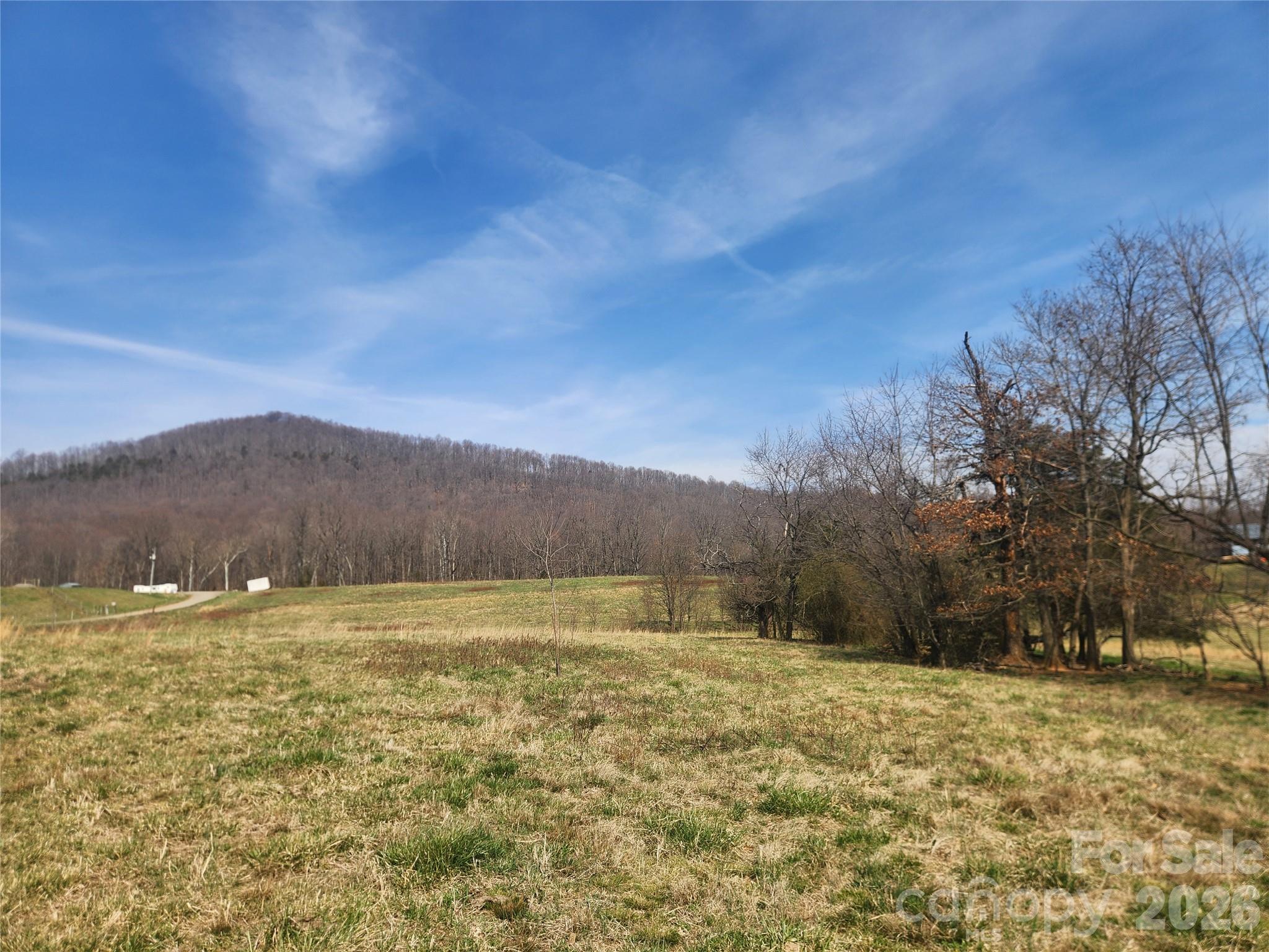 363 Center Church Road Hiddenite, NC 28636 - Photo 40 of 48 a view of a yard with a mountain