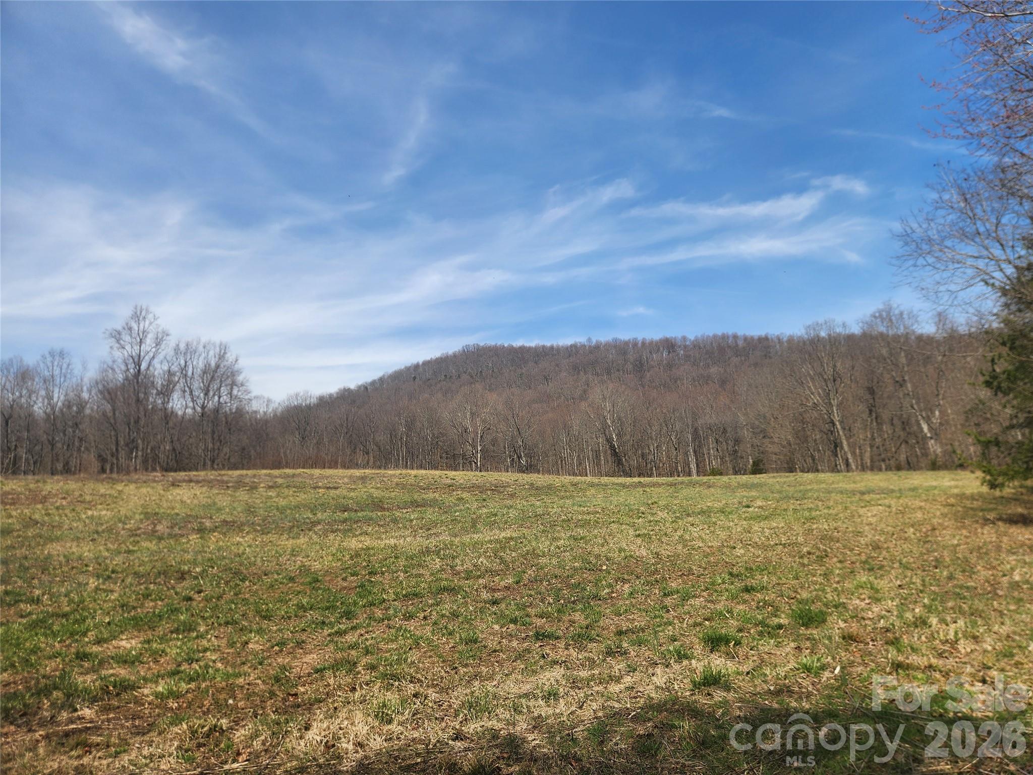 363 Center Church Road Hiddenite, NC 28636 - Photo 4 of 48 a view of a field with an ocean