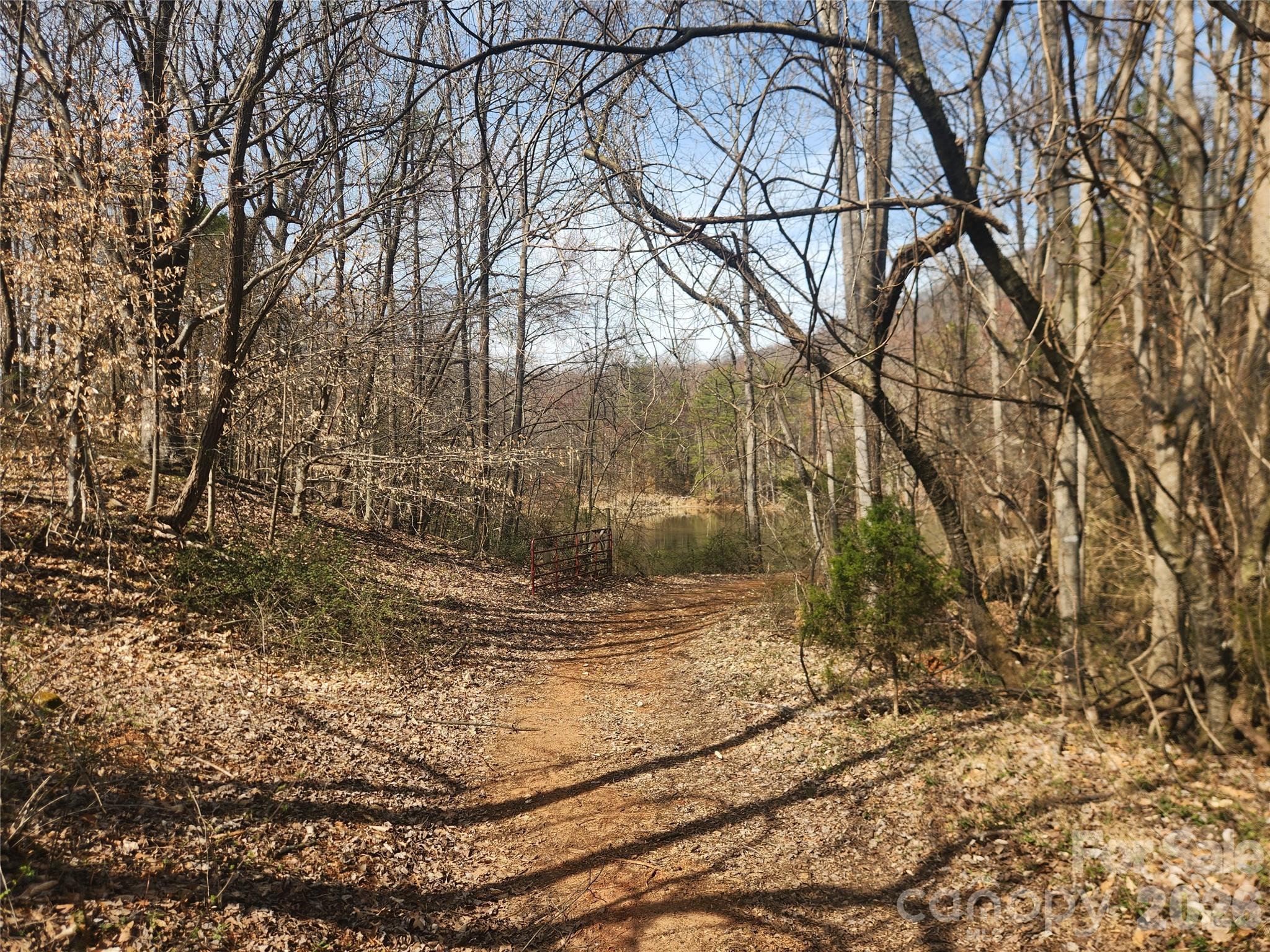 363 Center Church Road Hiddenite, NC 28636 - Photo 43 of 48 a view of a yard with large trees