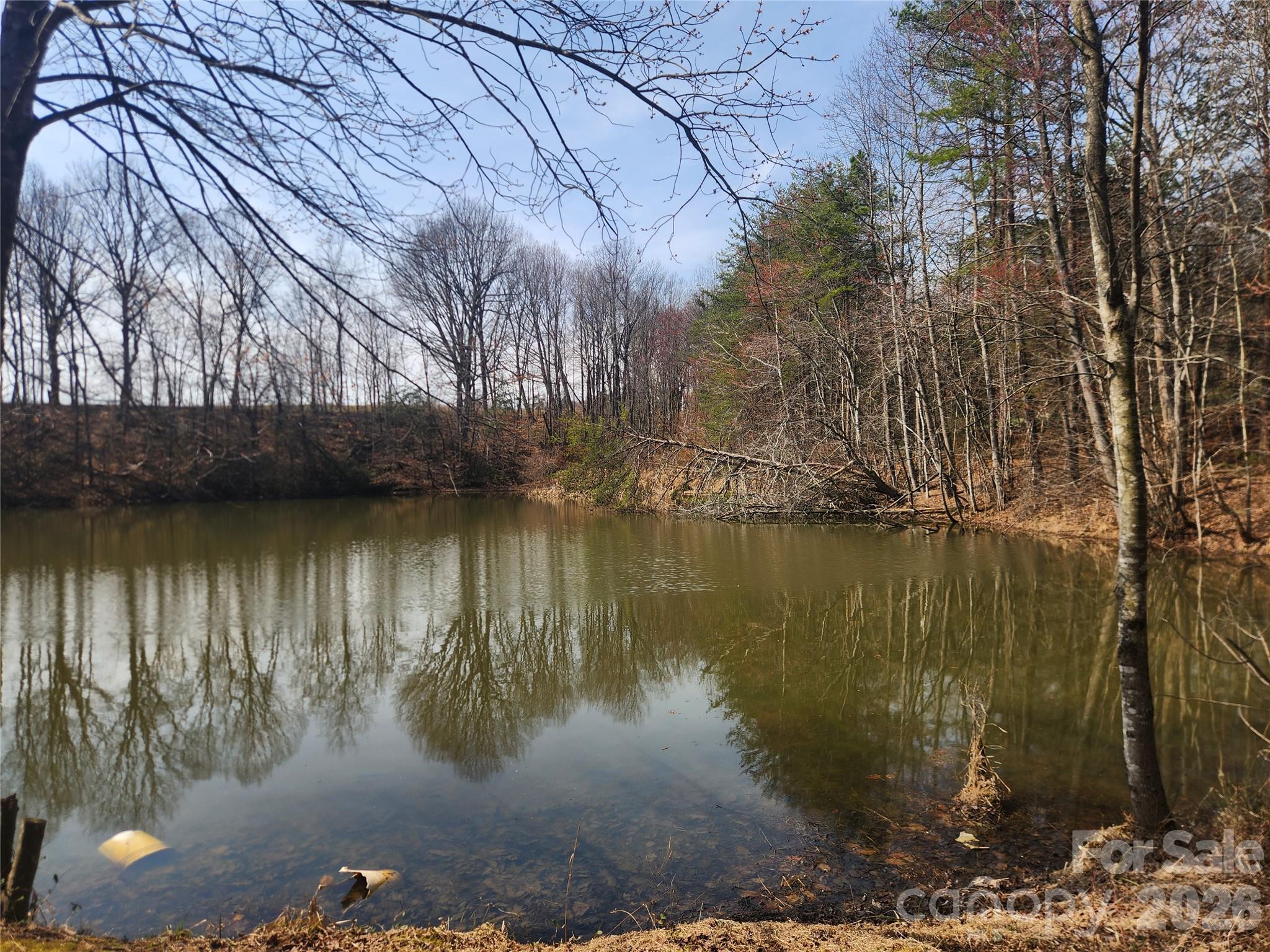363 Center Church Road Hiddenite, NC 28636 - Photo 45 of 48
