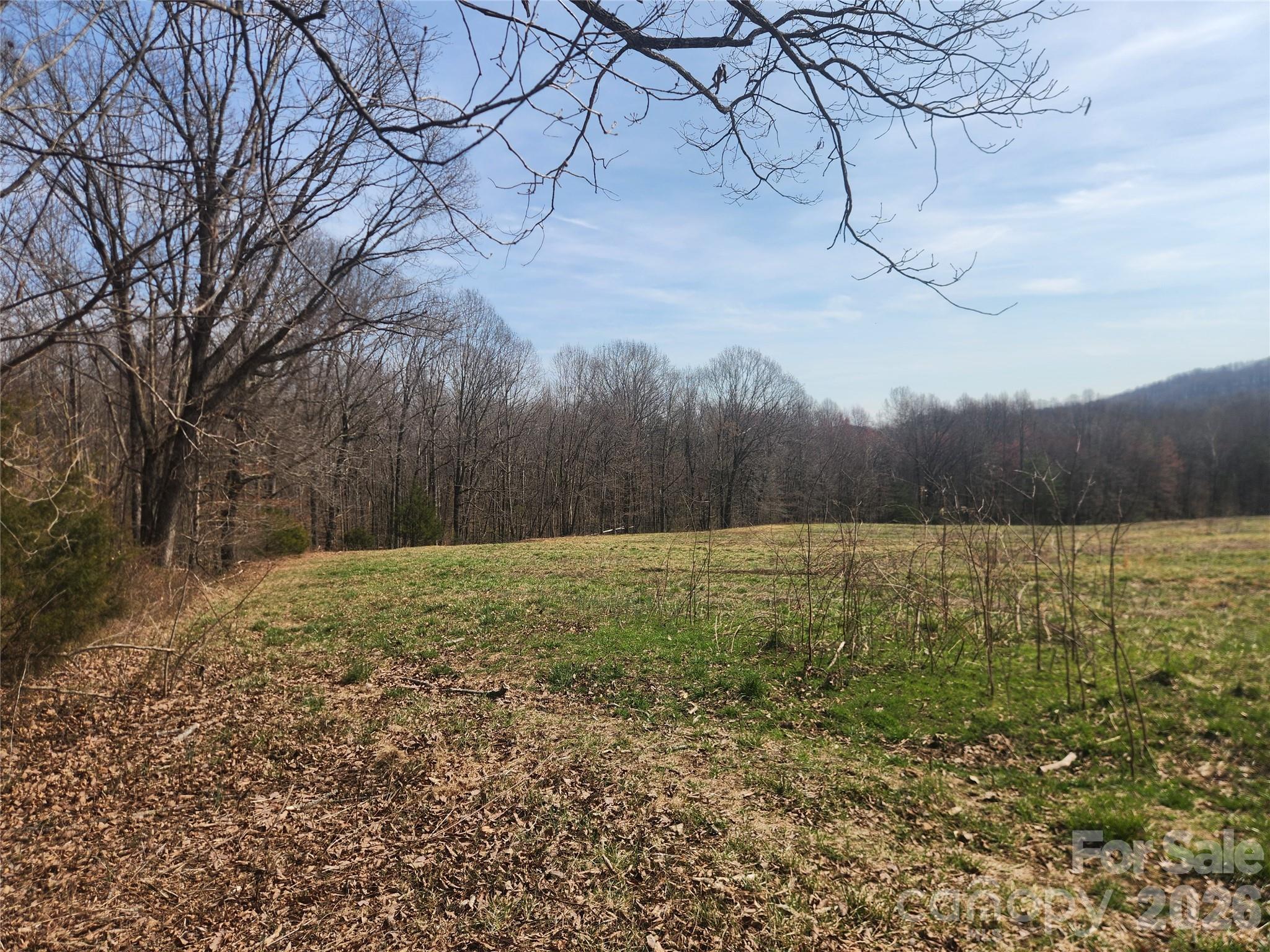 363 Center Church Road Hiddenite, NC 28636 - Photo 46 of 48 a view of a yard
