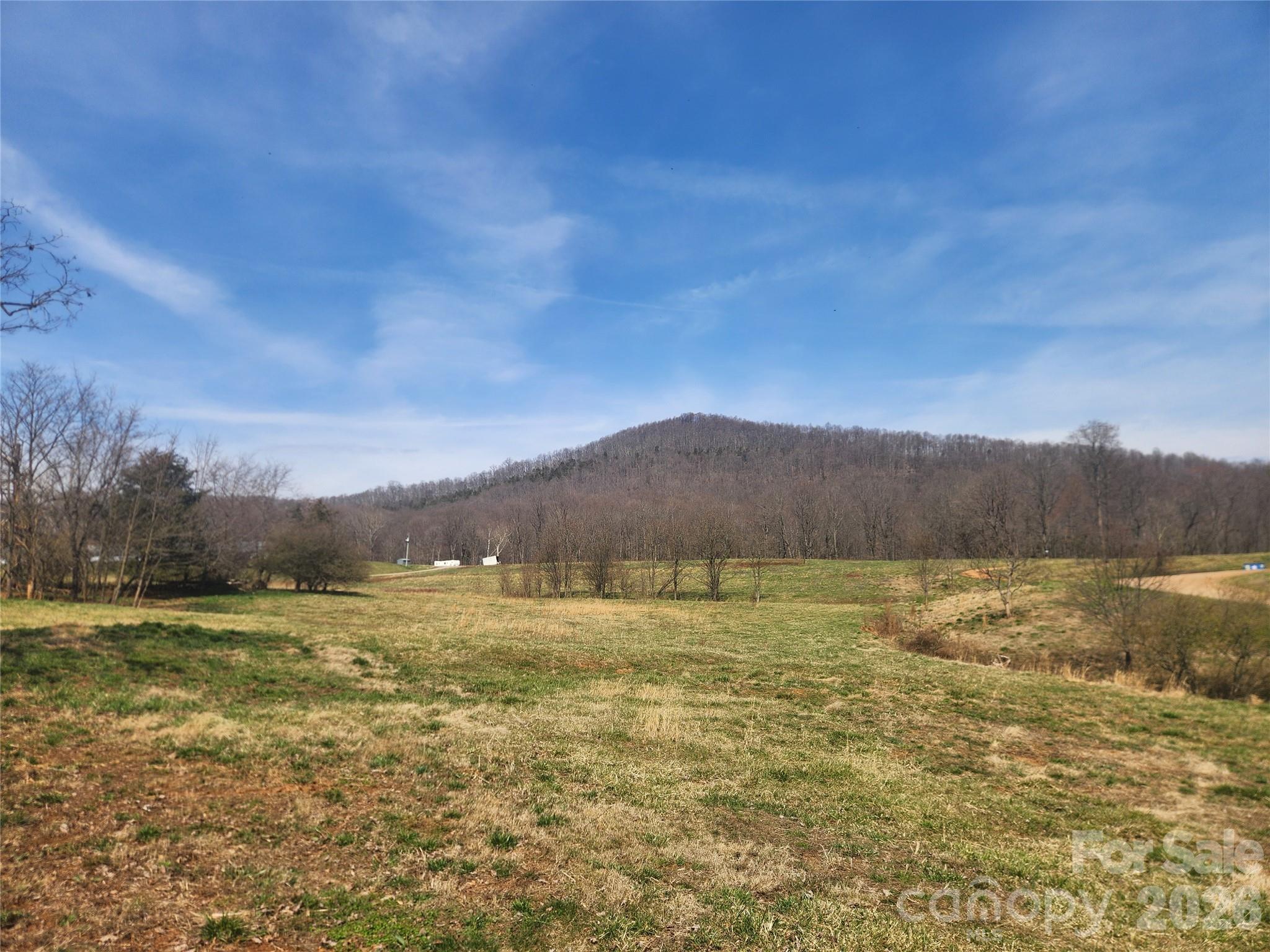 363 Center Church Road Hiddenite, NC 28636 - Photo 5 of 48 a view of an ocean and a mountain
