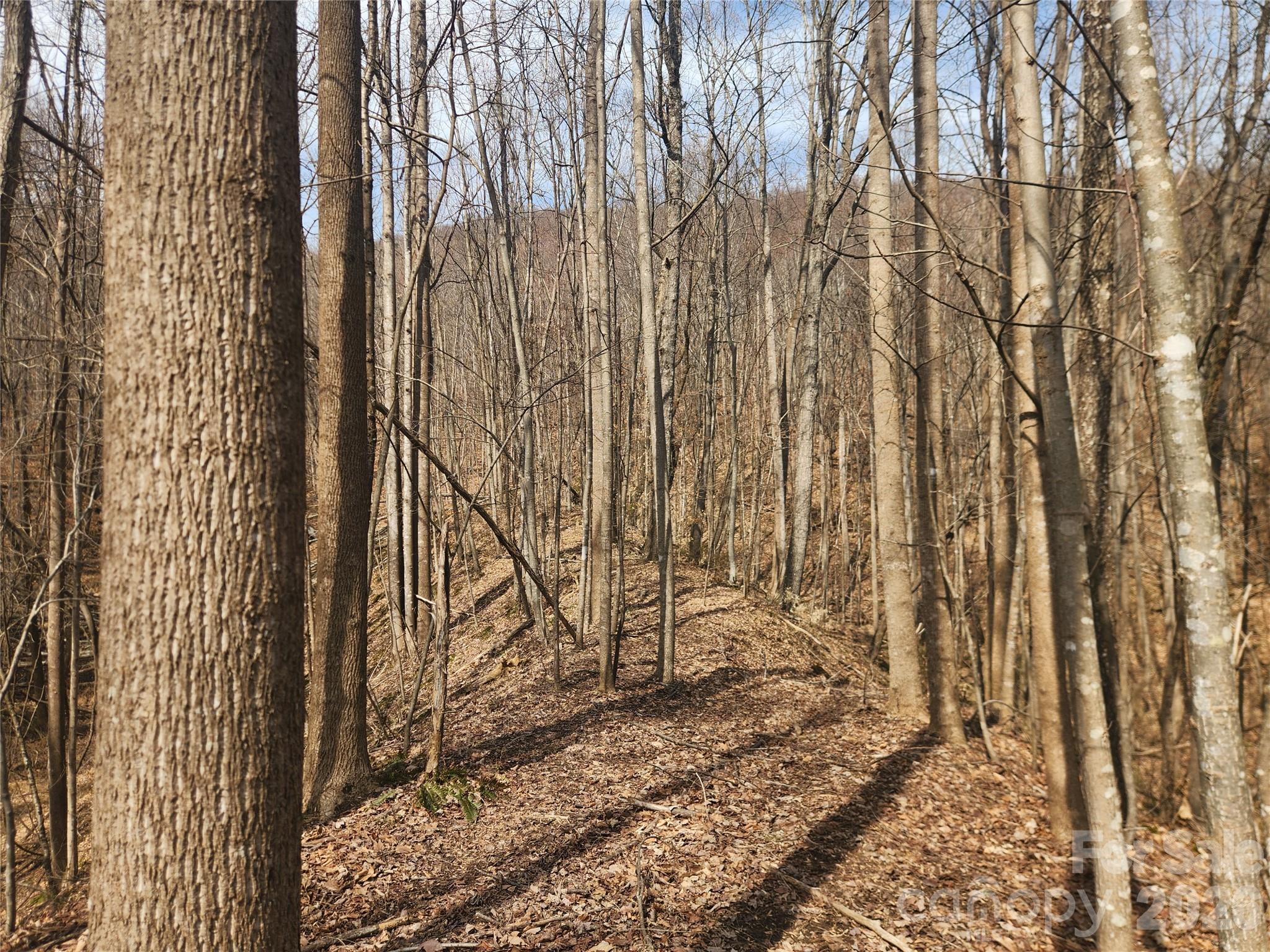 363 Center Church Road Hiddenite, NC 28636 - Photo 8 of 48 a view of a backyard