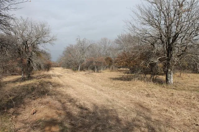 a view of snow covered with snow