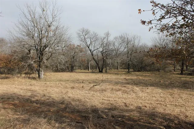 a view of dirt yard and trees