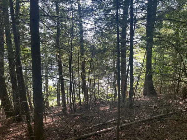 $200,000 | 17197 Patti Lane, Townsend, WI 54175